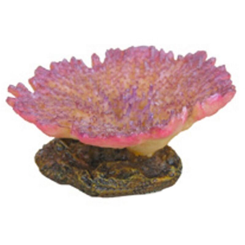 foto del prodotto aql decorazione corallo in resina modello montipora cm9x8x4h