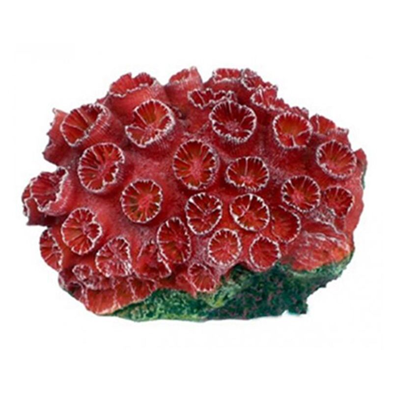 foto del prodotto aql decorazione corallo in resina modello tubastrea red small cm8x6x4h