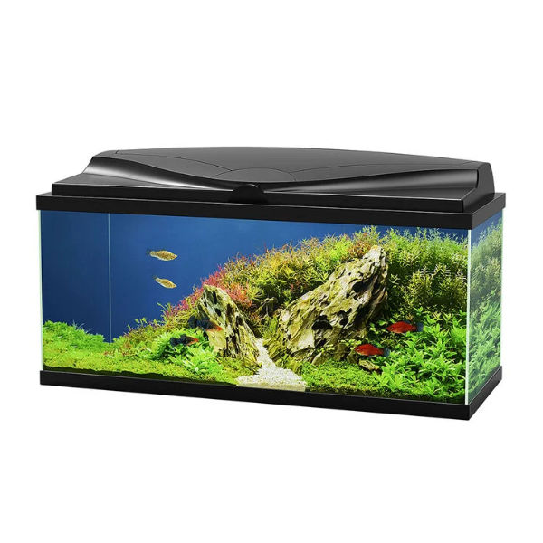 foto del prodotto aquario aqua 80 led askoll nero 80 x 30 x 41,5 1 ordine scegli lo sconto bzr5 bzr20 200 punti fedelt 