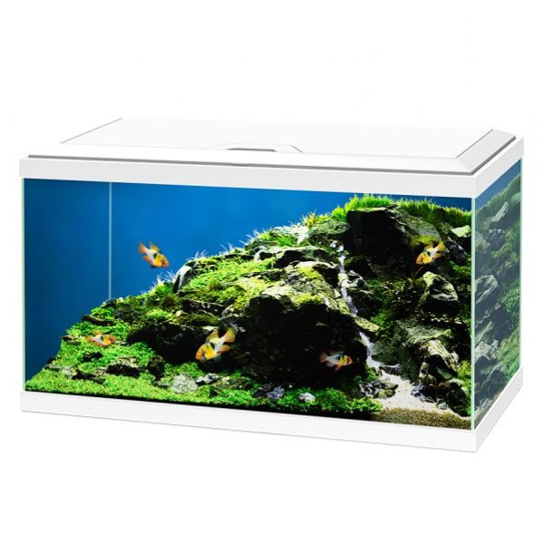 foto del prodotto aquario ciano aqua 60 led askoll bianco 60 x 30 x 32 1 ordine scegli lo sconto bzr5 bzr20 200 punti fedelt 