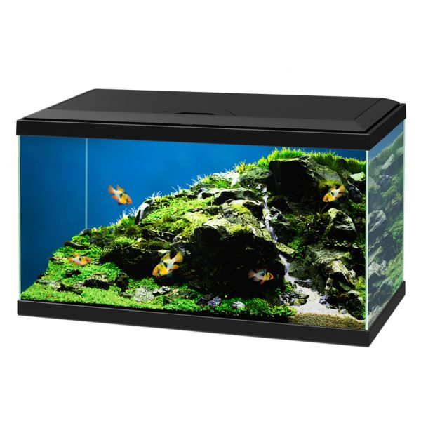 foto del prodotto aquario ciano aqua 60 led askoll nero 60 x 30 x 32 1 ordine scegli lo sconto bzr5 bzr20 200 punti fedelt 