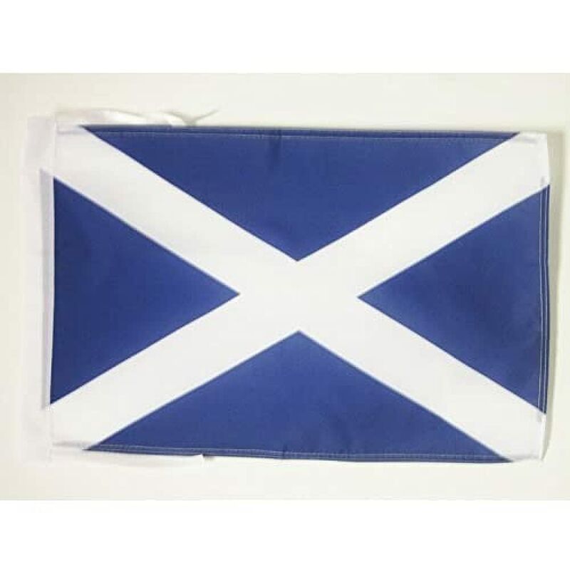 foto del prodotto aquaristikwelt24 bandiera scozia 45x30cm bandierina scozzese 30 x 45 cm cordicelle az flag