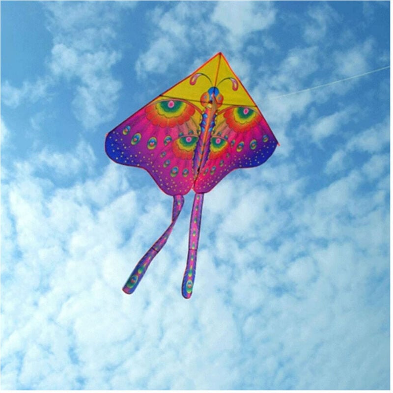 foto del prodotto aquilone farfalla gioco esterno spiaggia facile da pilotare vari colori 140x130 - - trade shop traesio