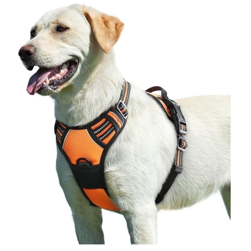 foto del prodotto arancione, l, pettorina per cani, pettorina regolabile riflettente anti trazione per cani, facile da indossare, con maniglia di controllo, pettorina