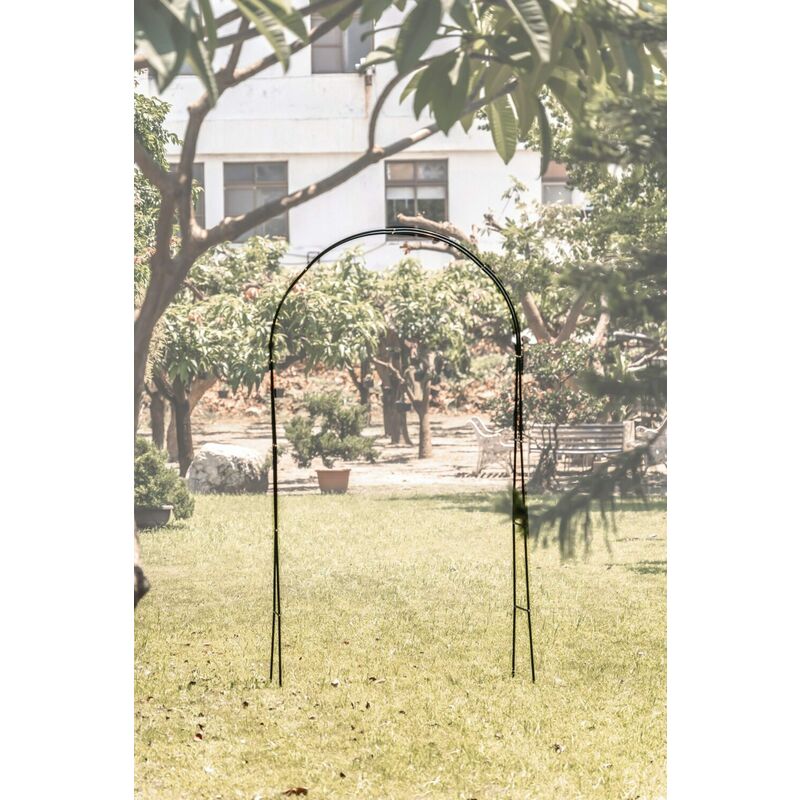 foto del prodotto arco in acciaio per piante rampicanti vert