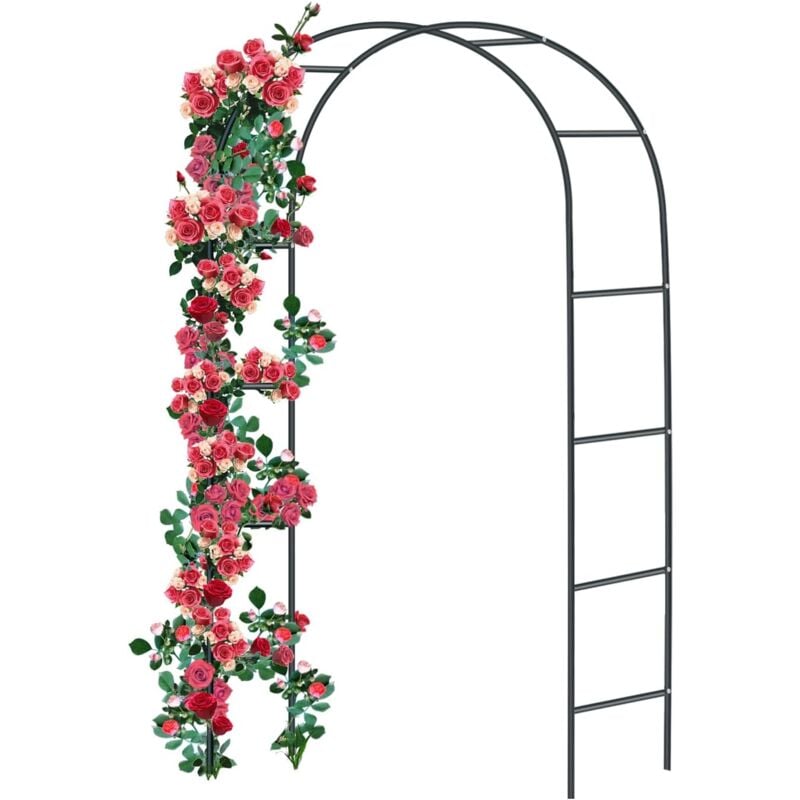 foto del prodotto arco per rose in metallo griglia per rose in acciaio verniciato a polvere decorazione e decorazione da giardino resistente alle intemperie