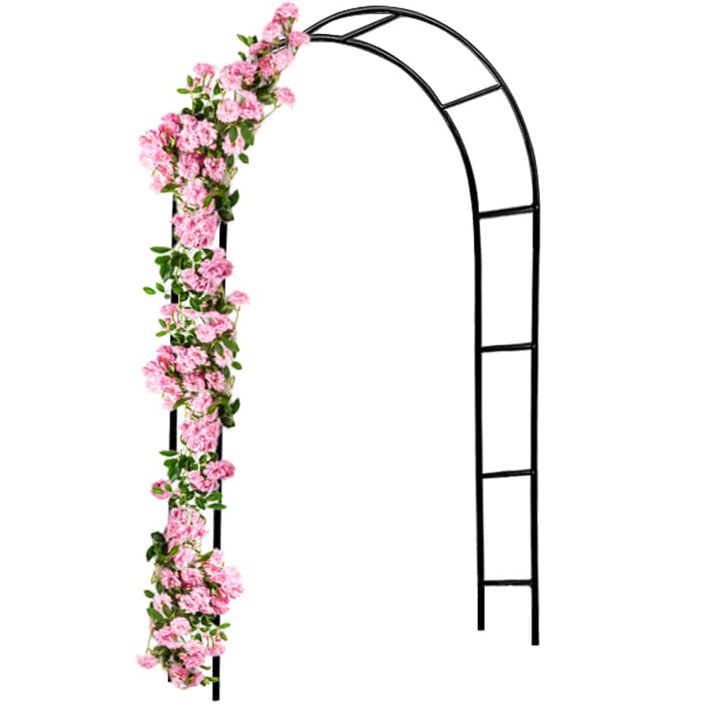 foto del prodotto arco per rose metallo nero 240x140x37cm