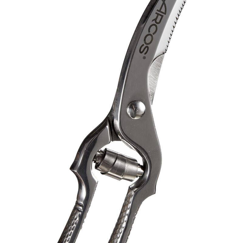 foto del prodotto arcos serie ecopro, trinciapollo, lama forged acciaio inossidabile 250 mm, manico forged acciaio inossidabile, colore argento