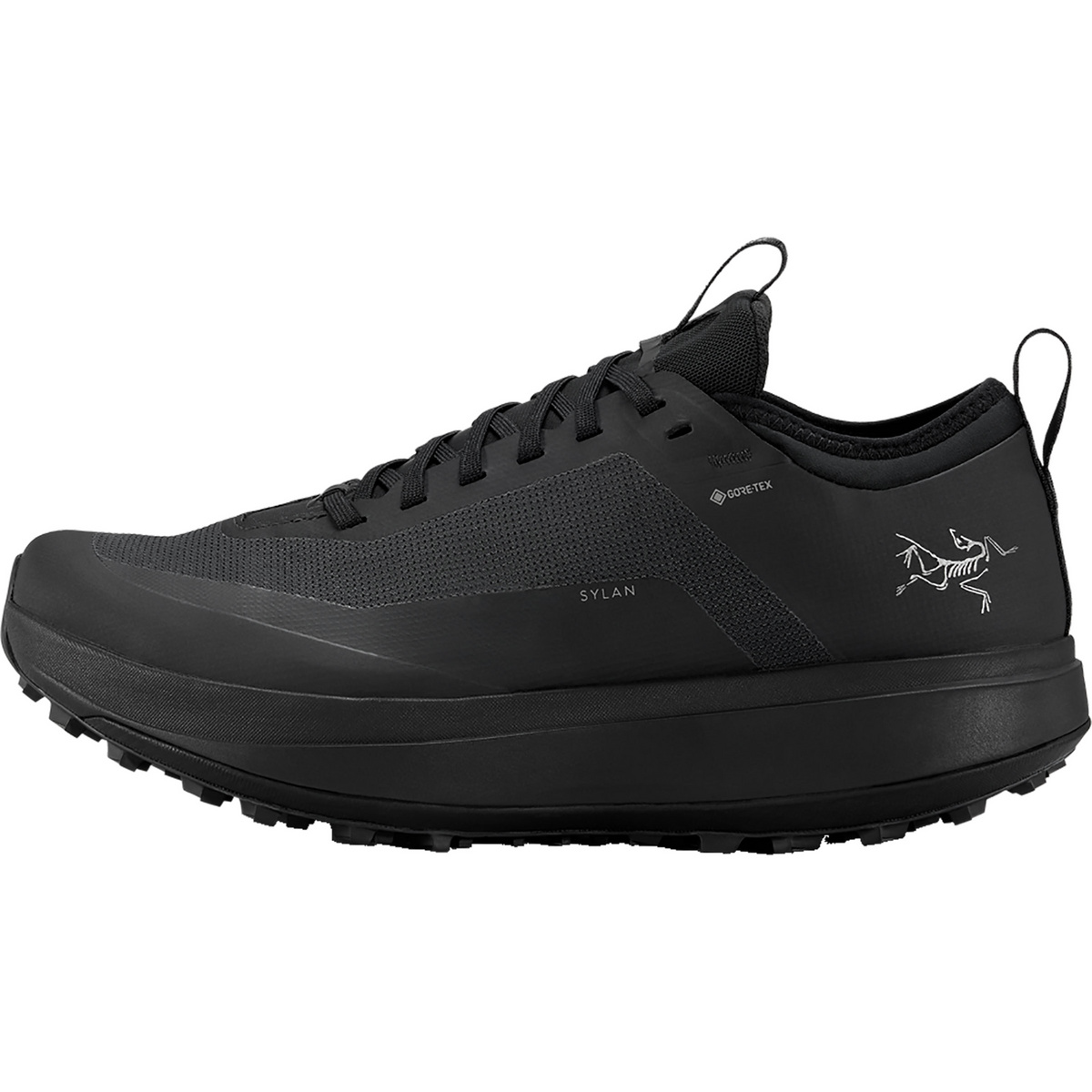 foto del prodotto arcteryx donna scarpe sylan gtx