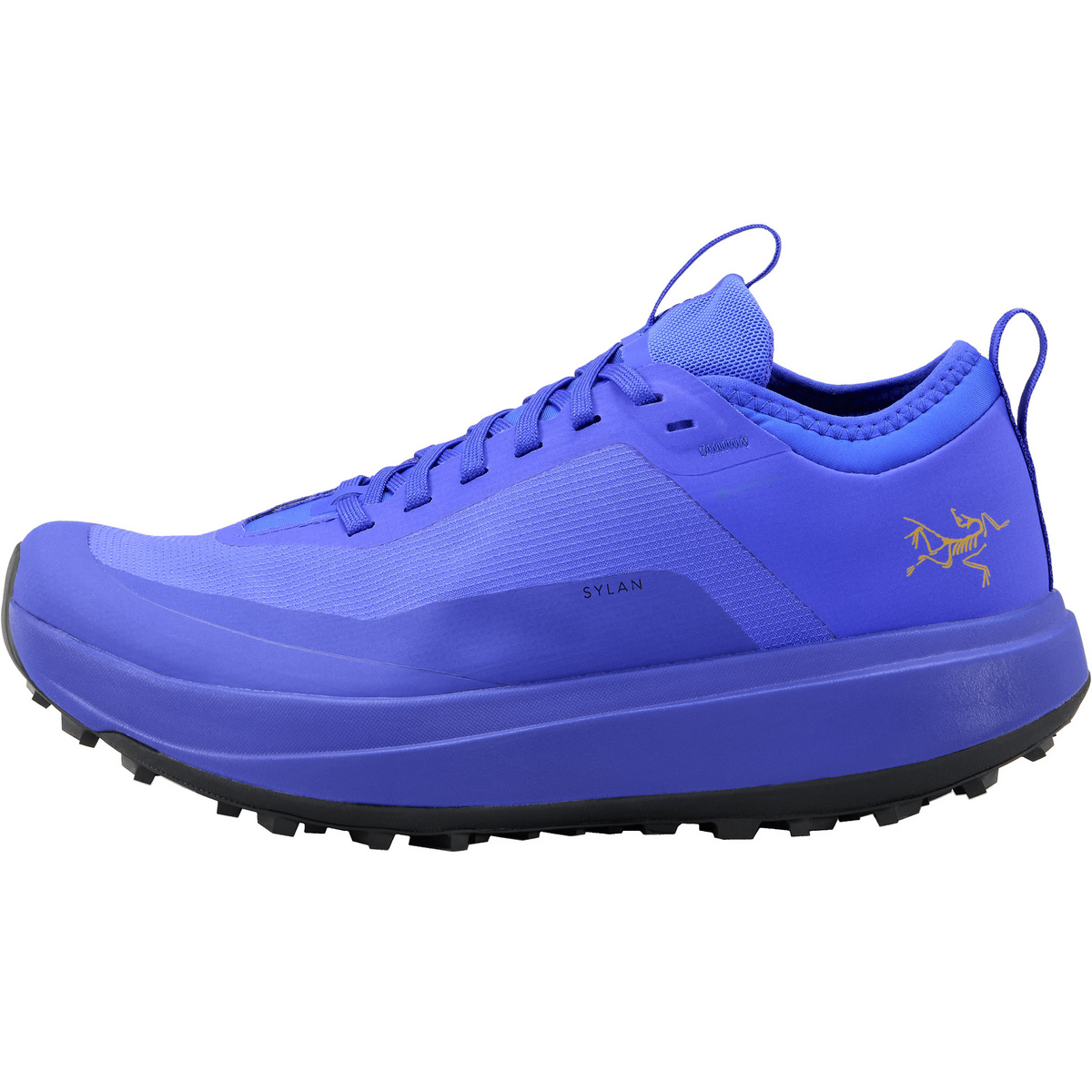 foto del prodotto arcteryx donna scarpe sylan gtx