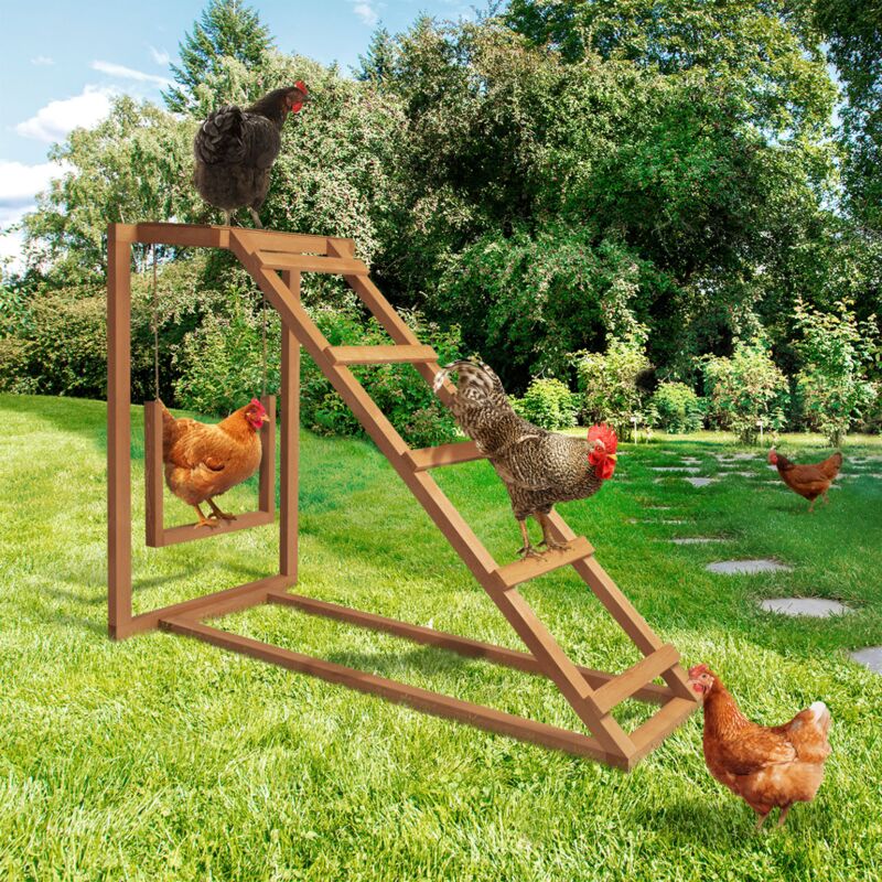 foto del prodotto area giochi per polli in legno con altalena e posatoio