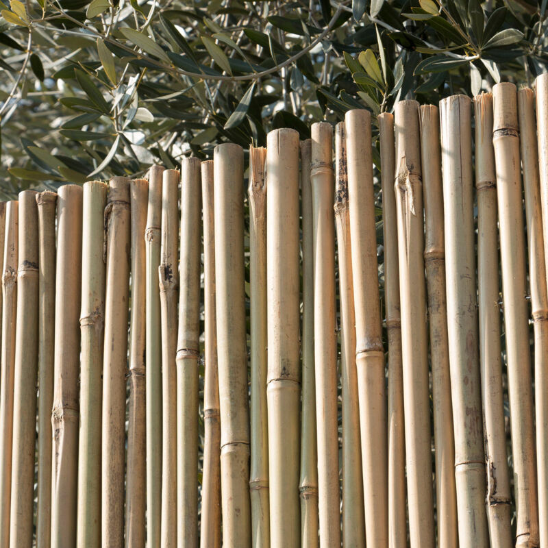 foto del prodotto arella canna passante recinzione coperture divisori ombreggiante 200x300cm sti