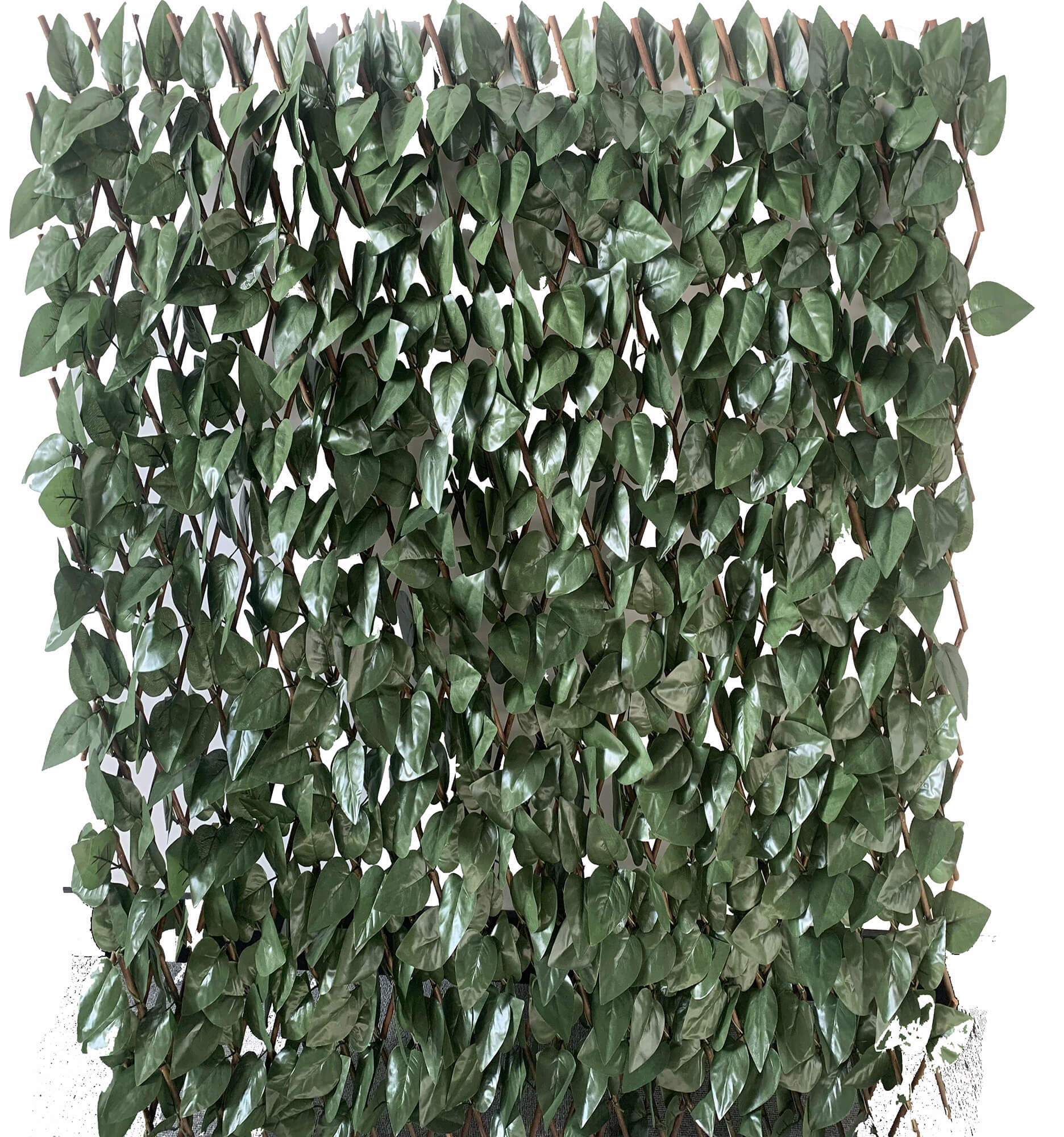 foto del prodotto arella frangivista estensibile 1x2m in salice con foglie di lauro garden friend