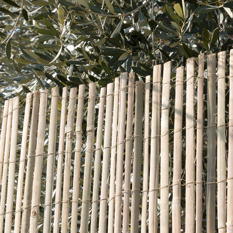 foto del prodotto arella mezza canna recinzione coperture divisori ombreggiante 250x300cm sti