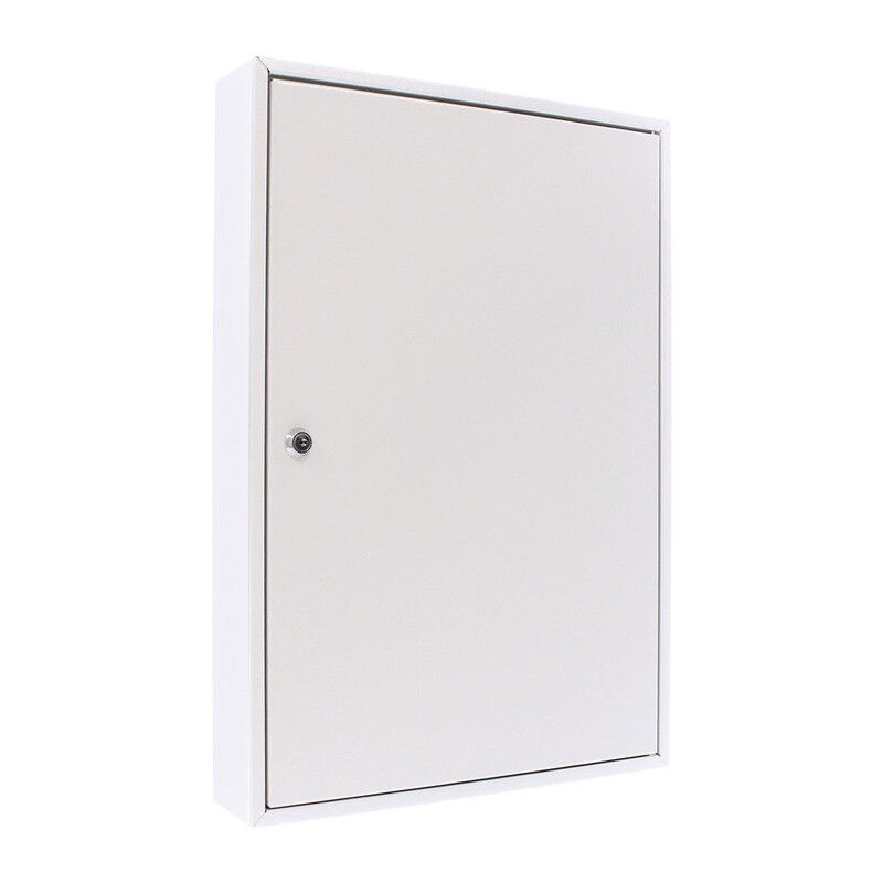 foto del prodotto armoire cl s s 50 h550xl380xp80mm serrure cylindre 1 porte num ro hak.50 rottner