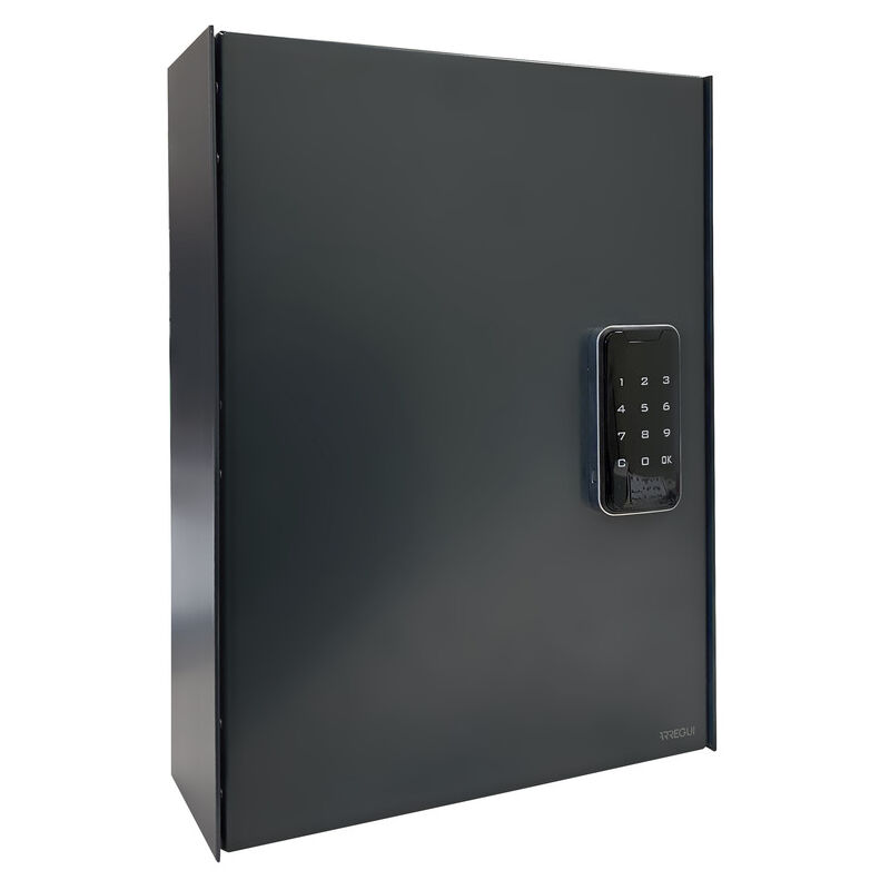 foto del prodotto arregui keypro plpro44 armadietto per chiavi con 44 ganci serratura elettronica armadio di sicurezza per chiavi in acciaio facile installazione a