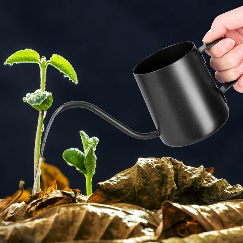 foto del prodotto arrosoir noir 250 ml petit arrosoir pour plantes d int rieur arrosoir long bec en acier inoxydable arrosoir de jardin pour plantes