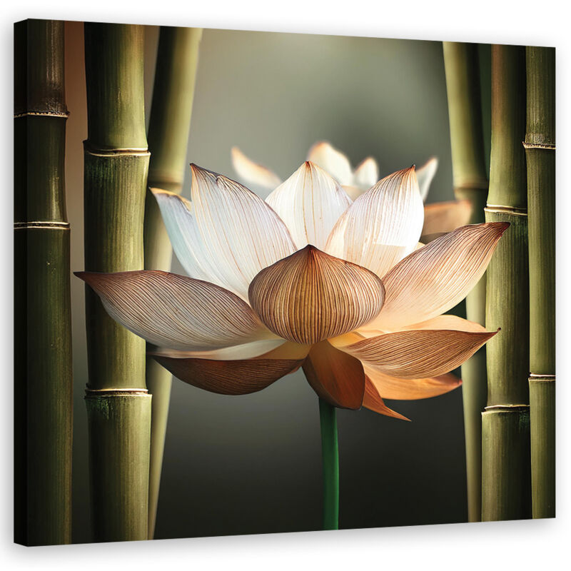 foto del prodotto artgeist quadro su tela, bamb fiore zen 40x40