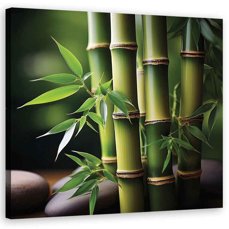foto del prodotto artgeist quadro su tela, bamb zen orientale 40x40
