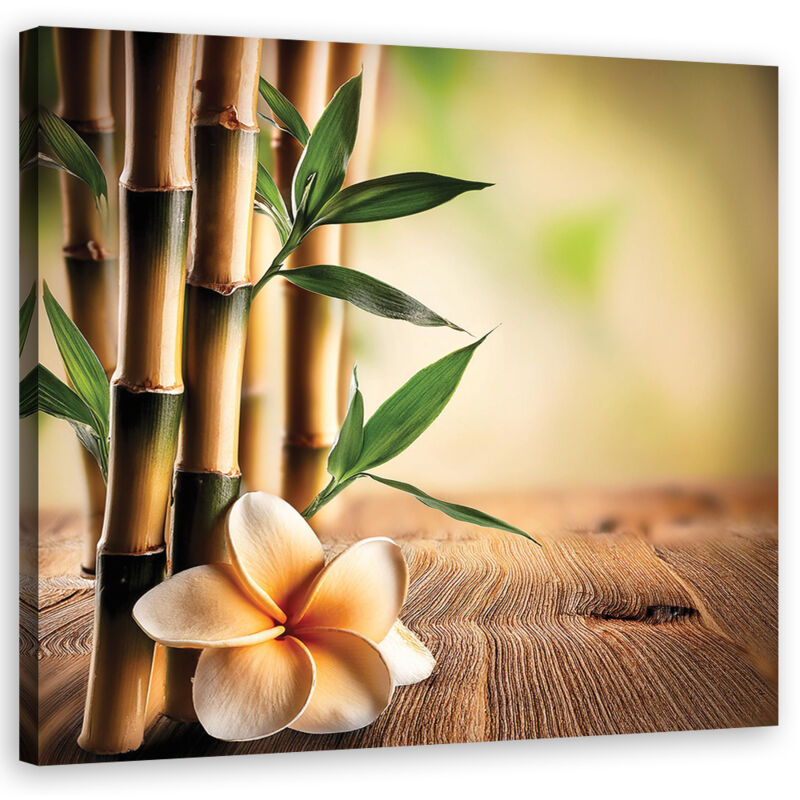 foto del prodotto artgeist quadro su tela, fiori di bamb zen 40x40