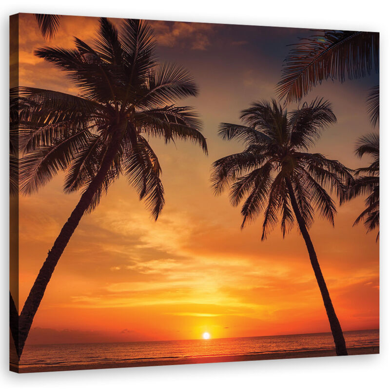 foto del prodotto artgeist quadro su tela, mare palme tropicali 30x30