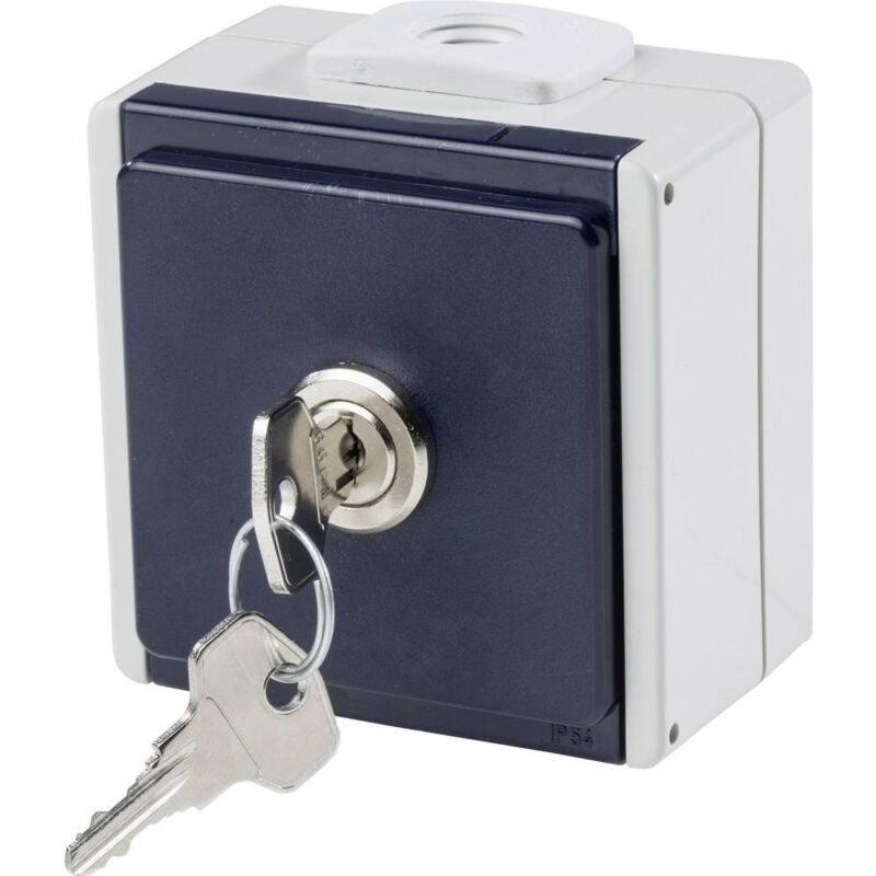 foto del prodotto as schwabe 62461 presa da parete bloccabile ip54 grigio