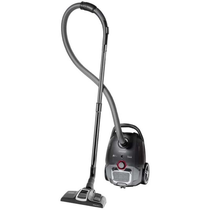 foto del prodotto aspirapolvere a sacco 700 w vp8290 concept