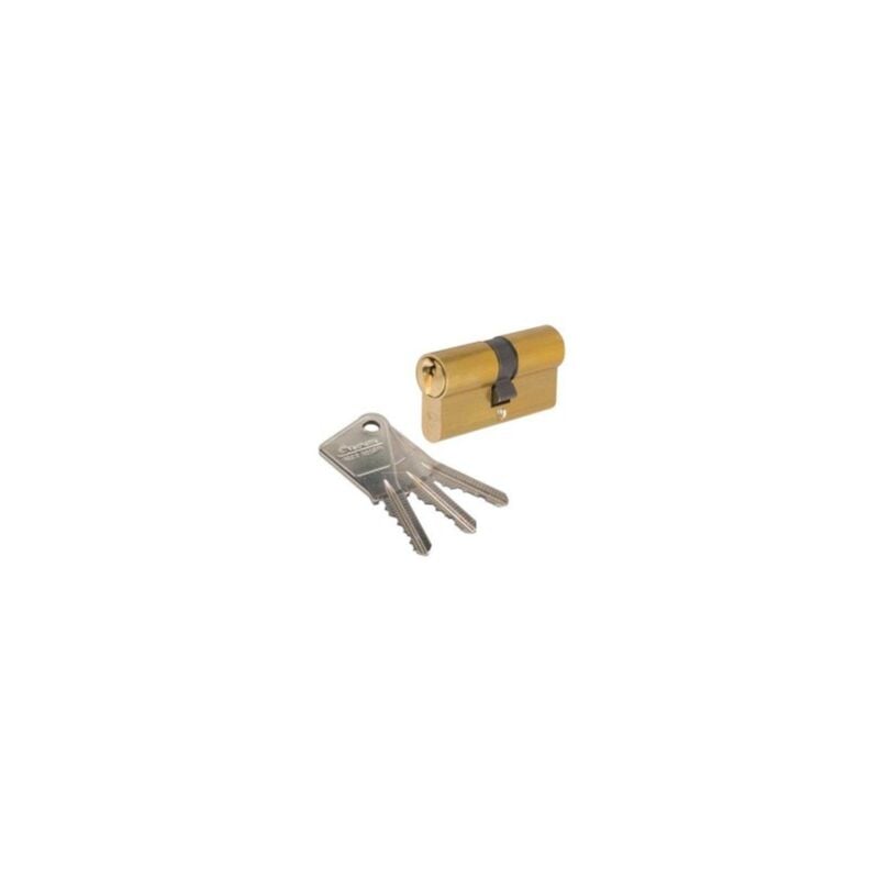 foto del prodotto assa abloy 7100 cilindro doppio in ottone 40x40 17158000 con 3 chiavi vachette