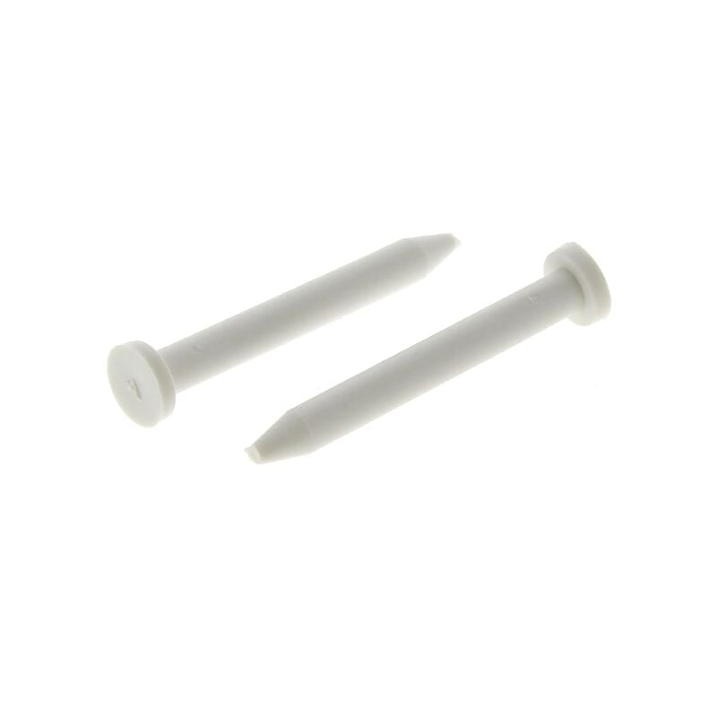 foto del prodotto asse cardine per porta lavatrice candy 223175