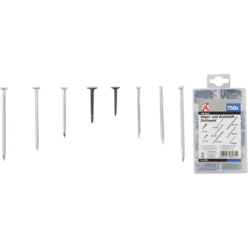 foto del prodotto assortimento chiodi a testa piana 750 pz.