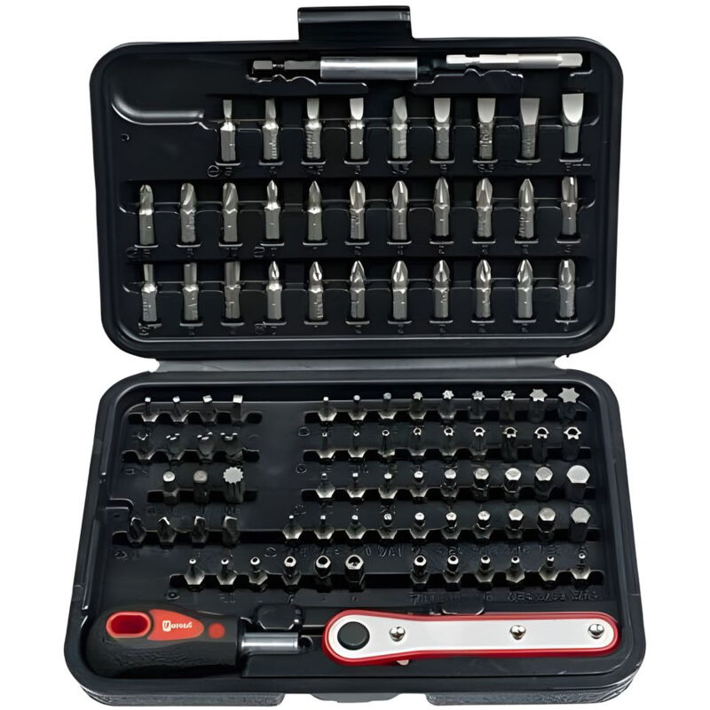 foto del prodotto assortimento di 99 inserti da 1 4 fumasi 263201