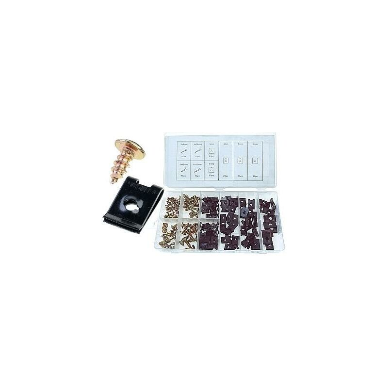 foto del prodotto assortimento di clip e viti, 170 pezzi
