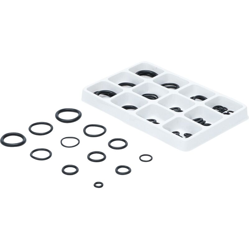 foto del prodotto assortimento o ring 5 20 mm 50 pz.