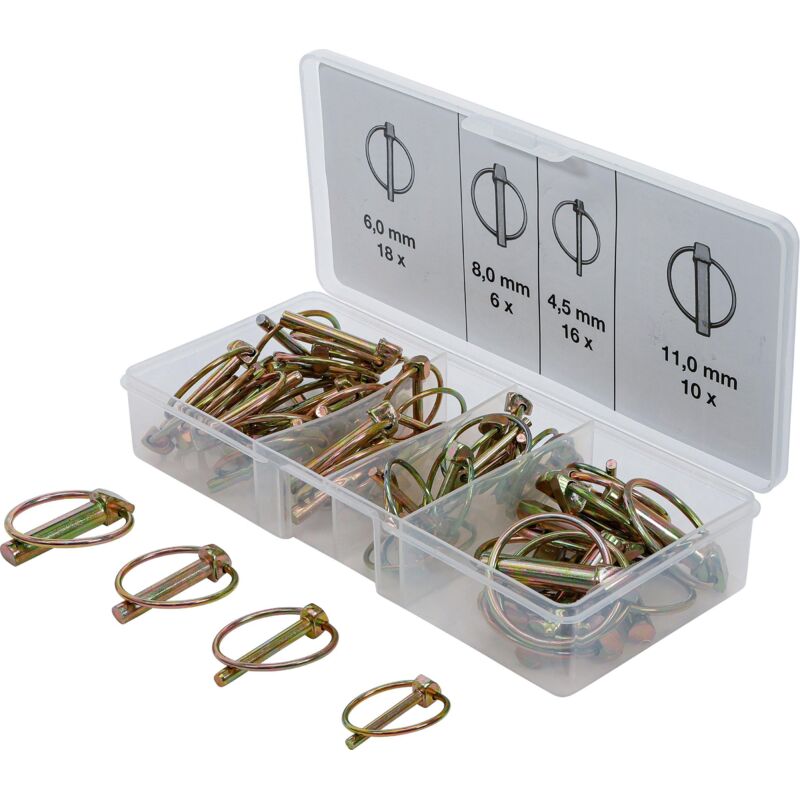 foto del prodotto assortimento spine a scatto 50 pz.