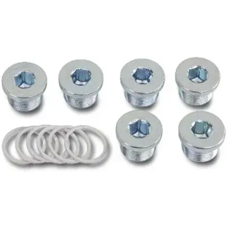foto del prodotto assortimento tappi olio e rondelle beta 1495t m20x1,50