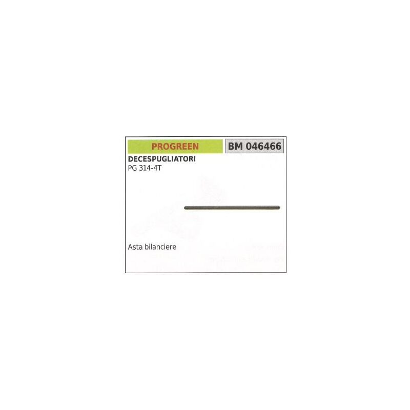 foto del prodotto asta bilanciere progreen motore a 4 tempi decespugliatore pg 314 4t 046466