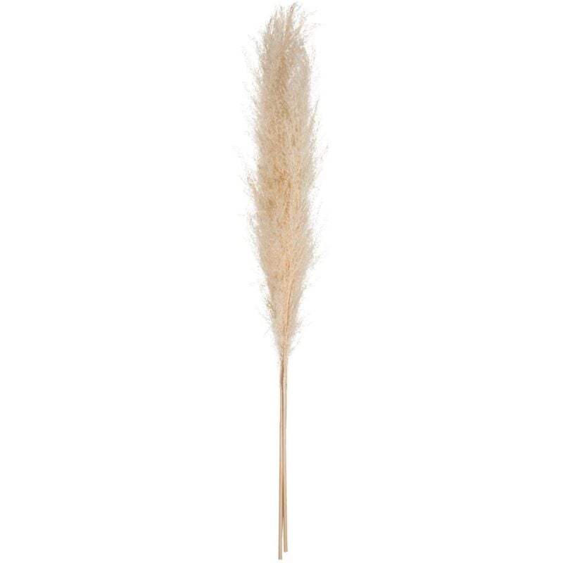 foto del prodotto atmosphera 3 fiori secchi pampa naturelle h110cm cr ateur d int rieur