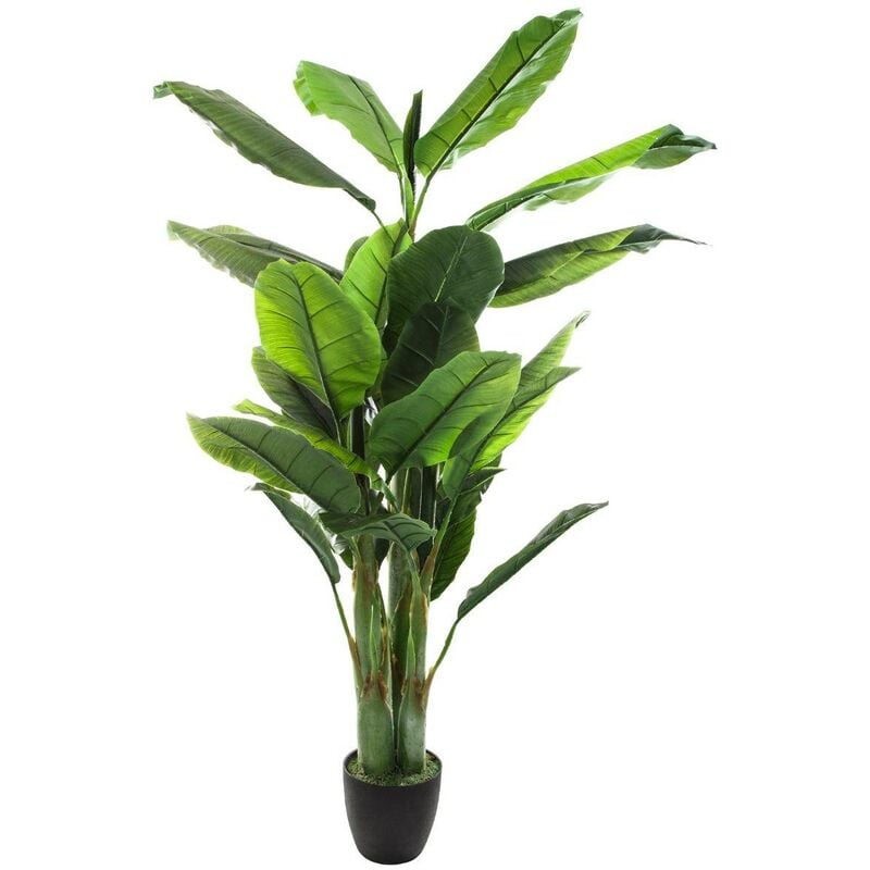 foto del prodotto atmosphera albero di banane artificiale h170cm cr ateur d int rieur