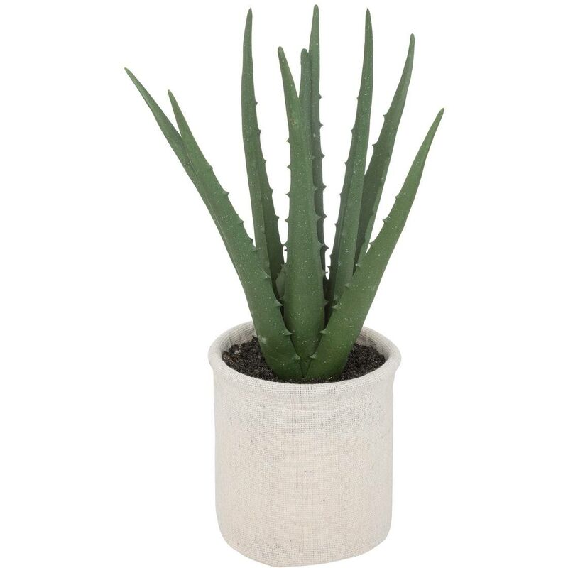 foto del prodotto atmosphera aloe vera artificiale h29cm cr ateur d int rieur