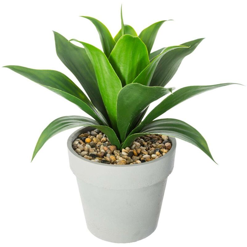 foto del prodotto atmosphera aloe vera artificiale h34cm cr ateur d int rieur