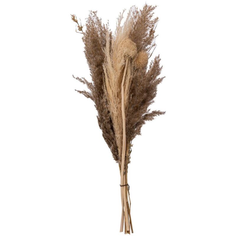 foto del prodotto atmosphera bouquet di pampa essiccata ori bianco avorio h58cm cr ateur d int rieur