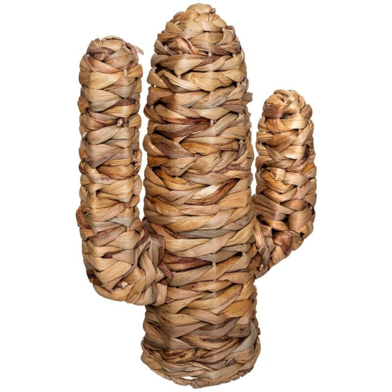 foto del prodotto atmosphera cactus haci giacinto d acqua h35cm cr ateur d int rieur