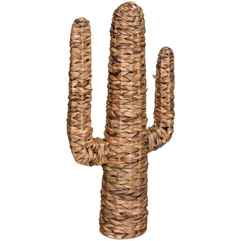 foto del prodotto atmosphera cactus hacienda giacinto d acqua h75cm cr ateur d int rieur