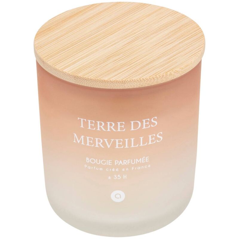 foto del prodotto atmosphera candela profumata terre des merveilles petali di muschio 255g cr ateur d int rieur