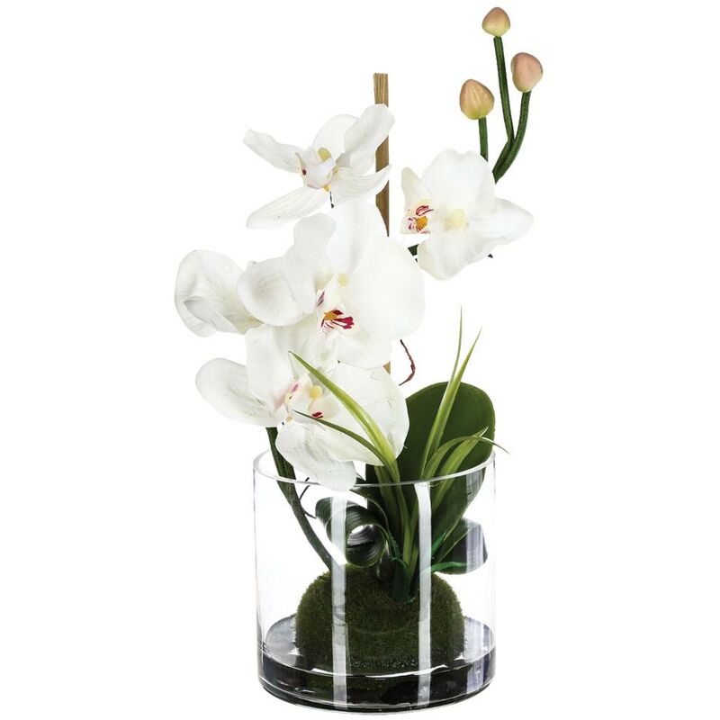 foto del prodotto atmosphera composizione di orchidee artificiali in vaso di vetro h37cm bianco cr ateur d int rieur