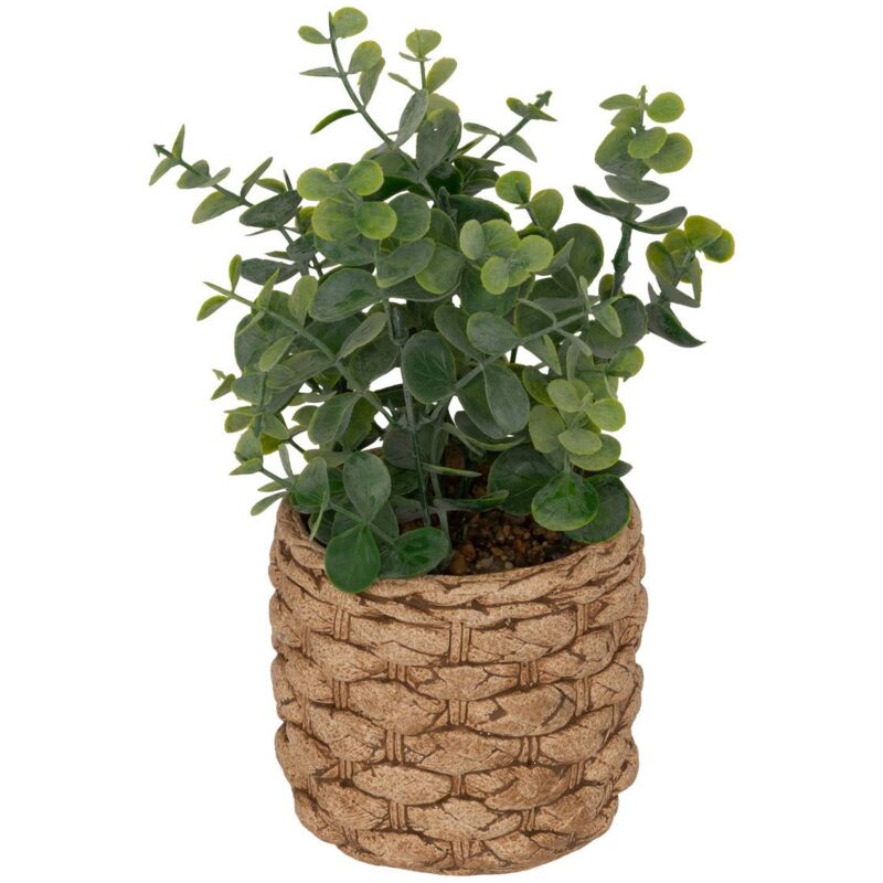 foto del prodotto atmosphera eucalipto artificiale in vaso jaye h27cm cr ateur d int rieur