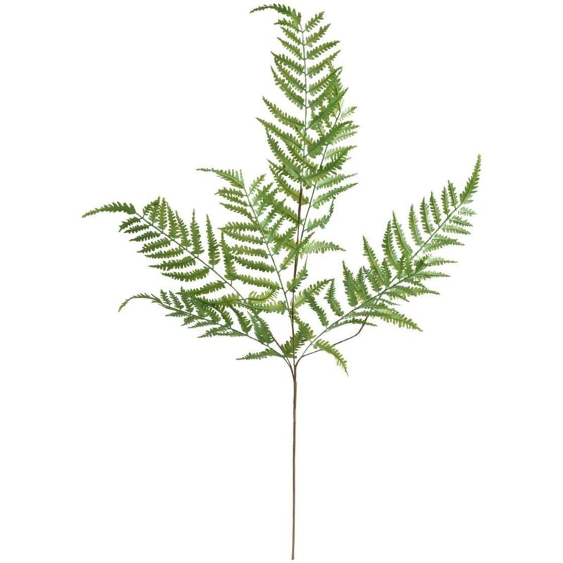 foto del prodotto atmosphera felce artificiale james verde h90cm cr ateur d int rieur