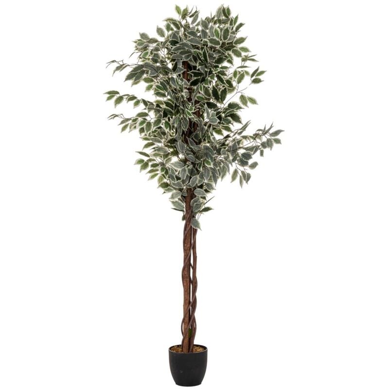 foto del prodotto atmosphera ficus artificiale benjamina verde scuro h180cm cr ateur d int rieur