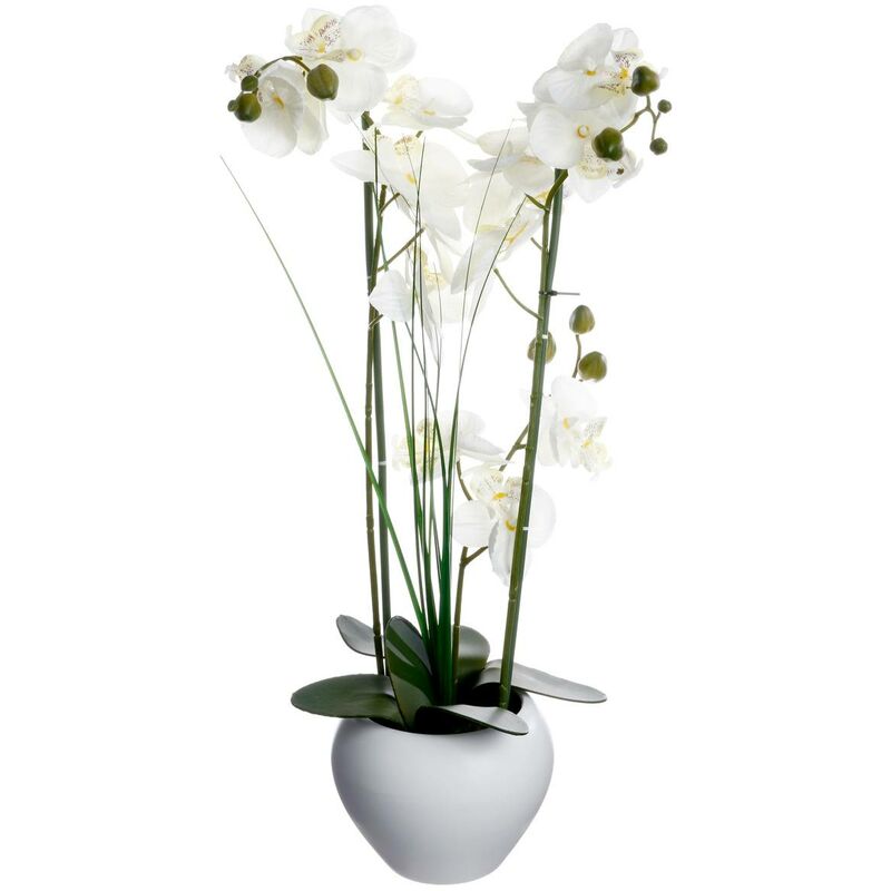 foto del prodotto atmosphera orchidea artificiale in ceramica bianca h53cm cr ateur d int rieur