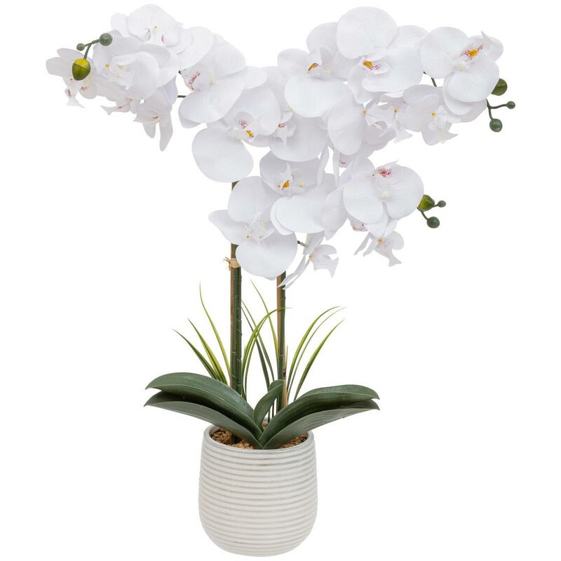 foto del prodotto atmosphera orchidea artificiale riva h60cm bianco cr ateur d int rieur